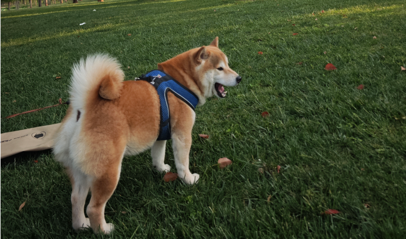 五十岁左右男性教授头像，穿灰色毛衣，黑色眼镜，温和微笑表情，办公室背景