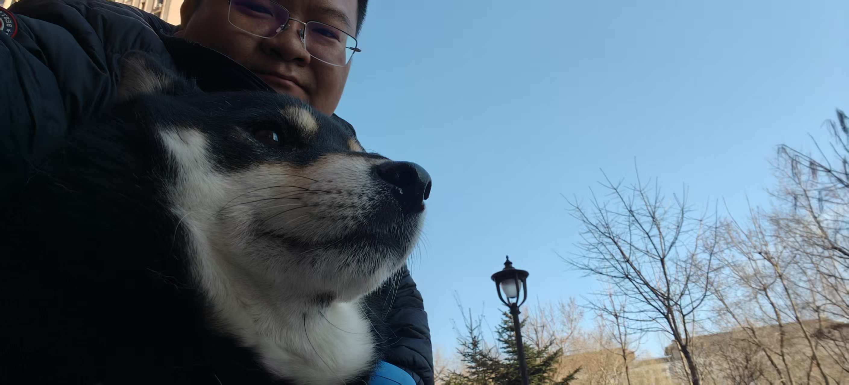 四十五岁左右女性教授头像，穿米色外套，黑色长发，专业严肃表情，图书馆背景